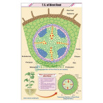 Root Charts, Botany